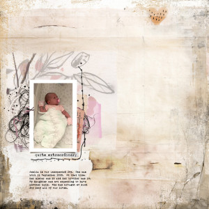 Lilypad 2024 05 Rj Mixed