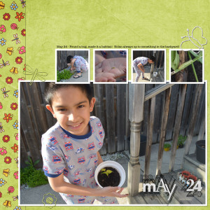 Jagruti-Patel---SOSN-May-8-2024