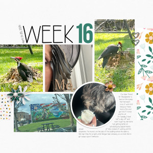 Week-16L