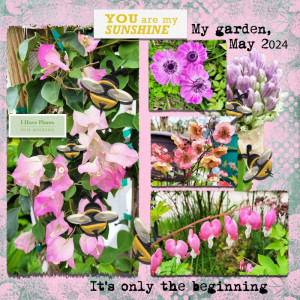 May Flowers Bring Happy Gardeners