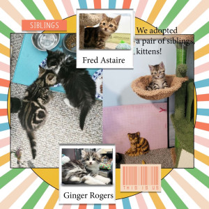 Welcome To The Family, Fred Astaire And Ginger Rogers