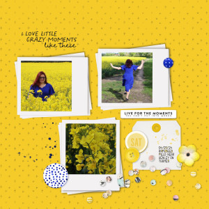 240504_OP Yellow