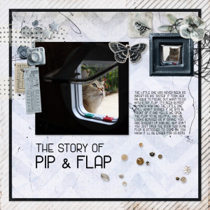 240501_Pip Flap