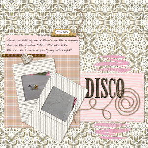 Disco