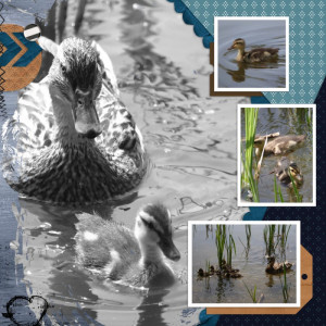 Scraplift Challenge May 2024