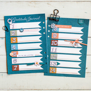 June Planner - Gratitude Journal (hybrid)