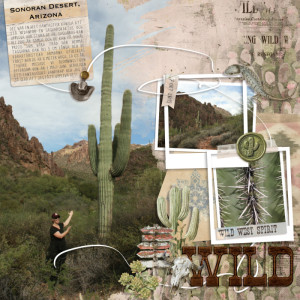 Saguaros