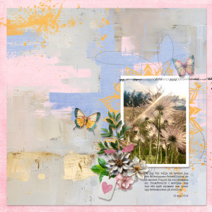 June Dreams