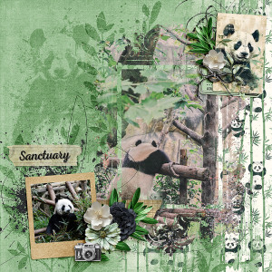 Panda Sanctuary