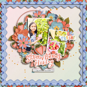 Strawberry Picking