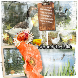 Around the lake