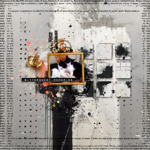 bittersweet memories