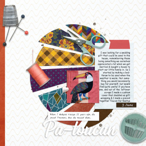 240603_Toucan