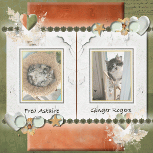 BYOC-Kittens-Fred-Astaire-and-Ginger-Rogers