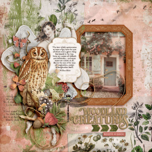 Woodland Creatures