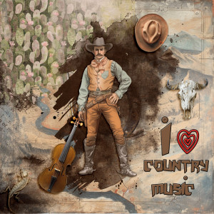 I love Country Music