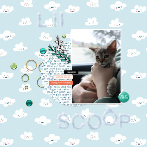 230408_scoop