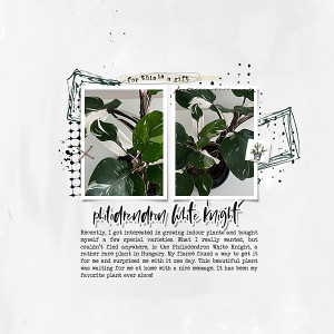 June Journaling Challenge