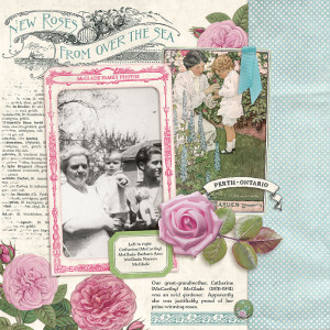 Great-Grandmother's Roses