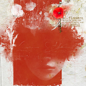 Poppy Flowers
