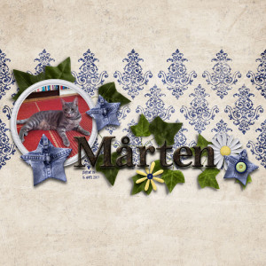 Marten Moves In
