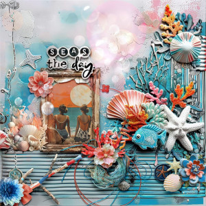 Seas the day