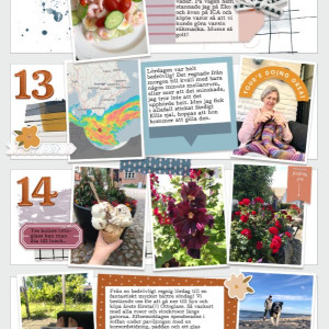 Week 28 b 2024