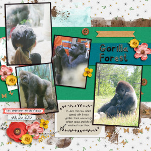20130726 Gorilla Forest