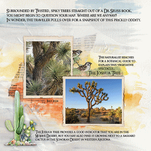 AJ July Wk 3 - The Joshua Tree