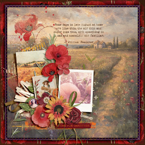 Poppies