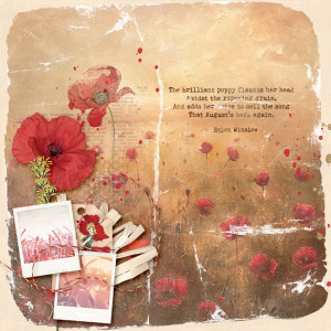 poppy