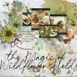 Wildflower-fields