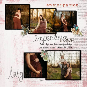 Lilypad Challenges - Web 2024 08 Scraplift Challenge