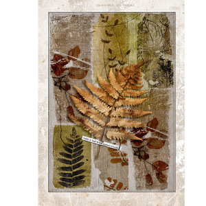 ABSTRACT LEAVES