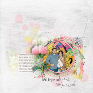 WhenLifeGivesYouLemons