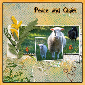 Peace and Quiet