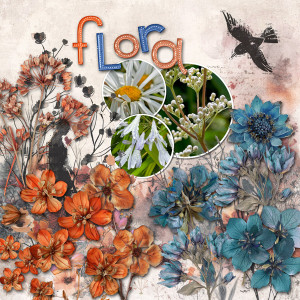 BYOCChallenge-janisn