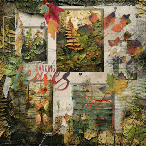 Changing Leaves