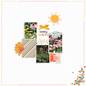 Country Flowers