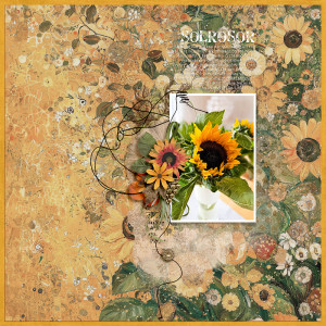 For the love of sunflowers