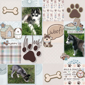 Puppy