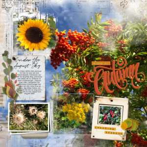 Signs of Autumn