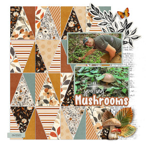 Spotting mushrooms