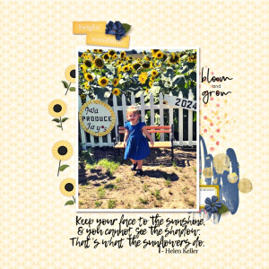 08-28-2024 - Kasey - Sunflowers 1