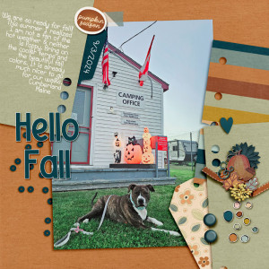Hello-Fall-24
