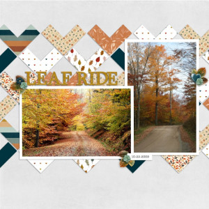 10-22-2009 - Leaf Ride P2