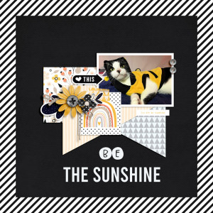 be the sunshine