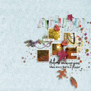 SOSN_sep25_NBK_Soco_Autumn