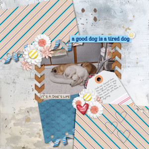 Tired-dogs