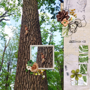 Rachel's Mixed Media Challenge - September